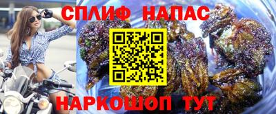 скорость Новодвинск