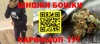 прущие крисы Новозыбков