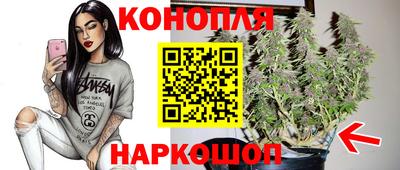 скорость Новодвинск