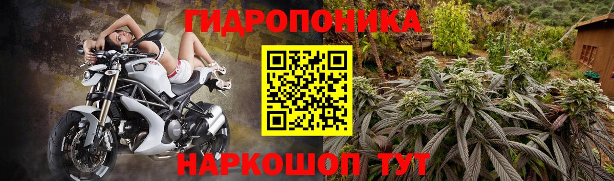 Шишки марихуана Amnesia  Марихуана White Widow  Вход с VPN  МАРИХУАНА сатива  Хасавюрт 